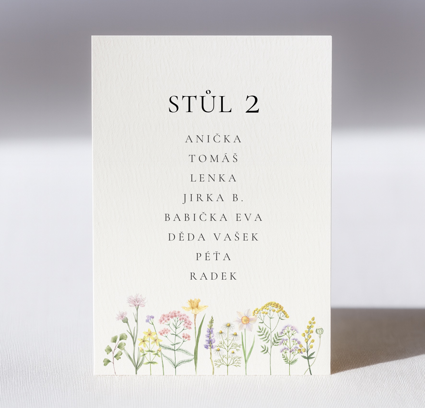 zasedací pořádek kartička
